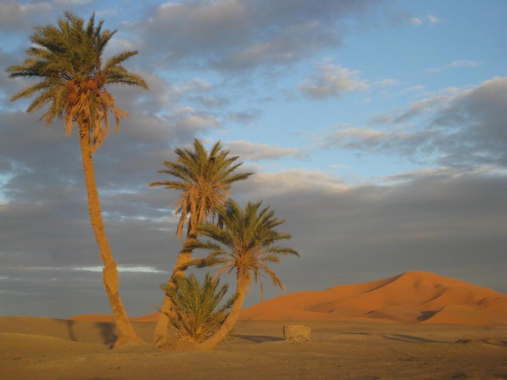Riad Aicha & Camel Trekking Merzouga Luaran gambar